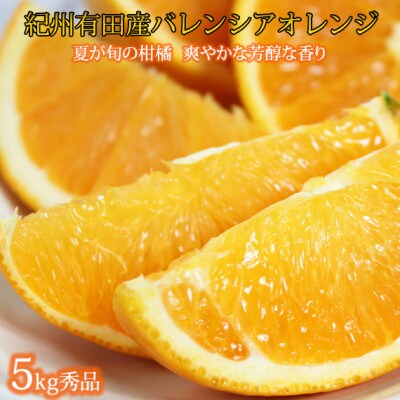 希少な国産バレンシアオレンジ　5kg