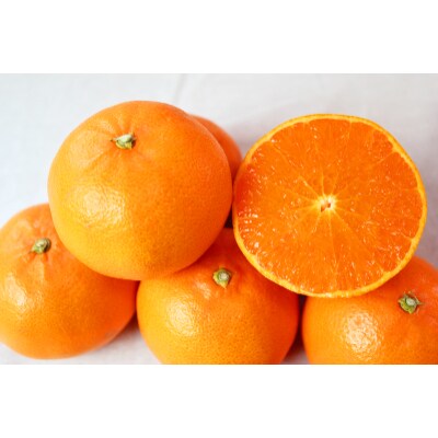 とろける食感!ジューシー柑橘　せとか　約3kg