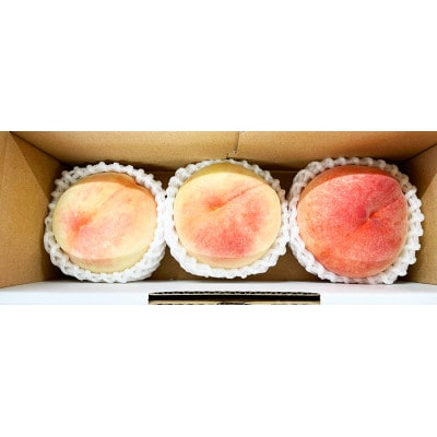 秀品　紀州和歌山産の桃　3玉　化粧箱入