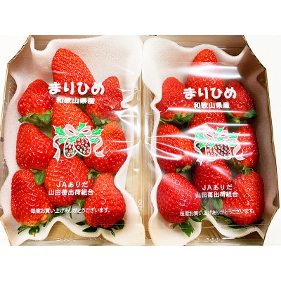 紀州和歌山ブランドいちご「まりひめ」約280g×2P