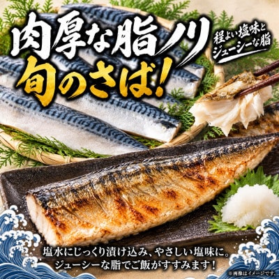 【ご家庭用　訳あり】　塩さばフィレ1kg