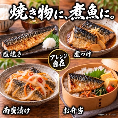 【ご家庭用　訳あり】　塩さばフィレ1kg