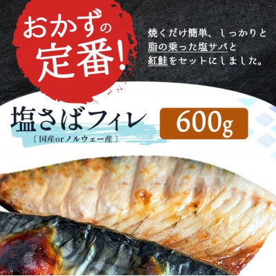 【ご家庭用訳あり】人気の塩さばフィレ&紅鮭切身セット計1kg