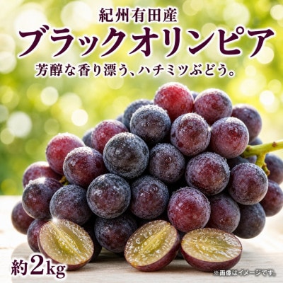 紀州有田産ブラックオリンピア(ハチミツぶどう)　約2kg