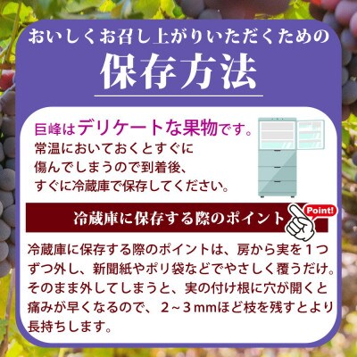 紀州和歌山産の種なし巨峰ぶどう2房(約800g～1kg)