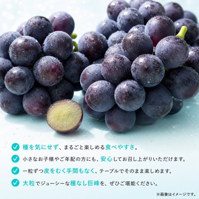 紀州和歌山産の種なし巨峰ぶどう2房(約800g～1kg)