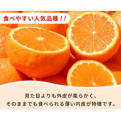 【ご家庭用】紀州有田産不知火(しらぬひ) 3kg