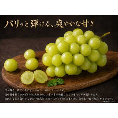 紀州かつらぎ山の瀬戸ジャイアンツ 約2kg