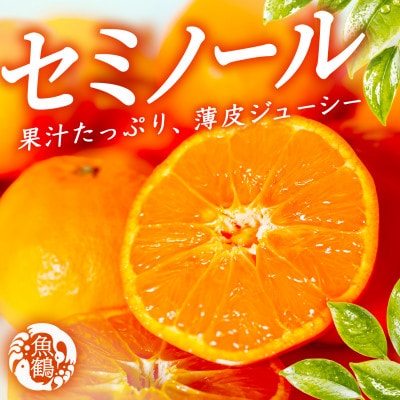 ジューシー柑橘　セミノールオレンジ　5kg