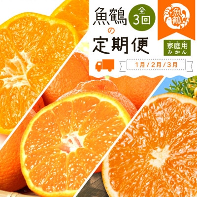 【発送月固定定期便】紀州和歌山産旬のご家庭用柑橘セット(みかん・不知火・清見)全3回