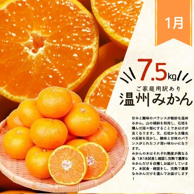 【発送月固定定期便】紀州和歌山産旬のご家庭用柑橘セット(みかん・不知火・清見)全3回