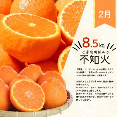 【発送月固定定期便】紀州和歌山産旬のご家庭用柑橘セット(みかん・不知火・清見)全3回