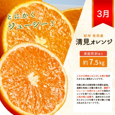 【発送月固定定期便】紀州和歌山産旬のご家庭用柑橘セット(みかん・不知火・清見)全3回