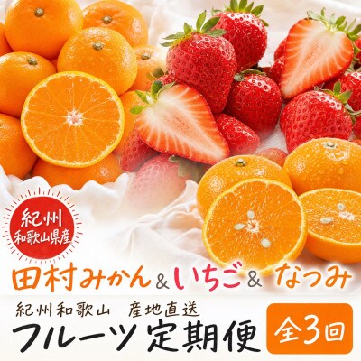 【発送月固定定期便】紀州和歌山産旬のフルーツセット(田村みかん・いちご・なつみ)全3回