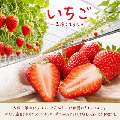 【発送月固定定期便】紀州和歌山産旬のフルーツセット(田村みかん・いちご・なつみ)全3回