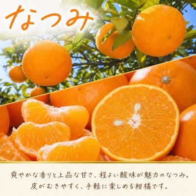 【発送月固定定期便】紀州和歌山産旬のフルーツセット(田村みかん・いちご・なつみ)全3回