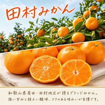 【発送月固定定期便】紀州和歌山産旬のフルーツセット(田村みかん・いちご・なつみ)全3回