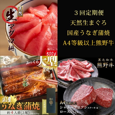 【毎月定期便】紀州和歌山うまいもんセットA(生まぐろ・うなぎ蒲焼・熊野牛)全3回