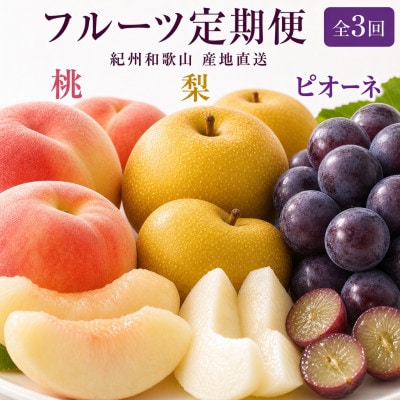 【発送月固定定期便】紀州和歌山産旬のフルーツセット(桃・梨・ピオーネ)全3回