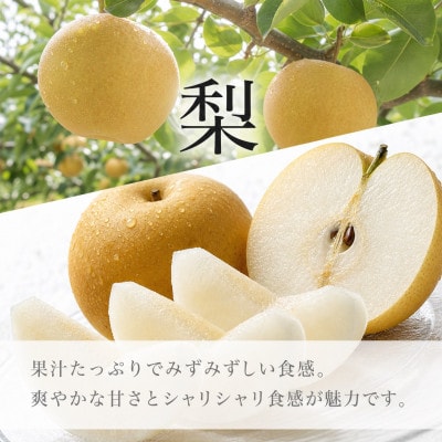 【発送月固定定期便】紀州和歌山産旬のフルーツセット(7月:桃約1.8kg・8月:梨約2kg)全2回