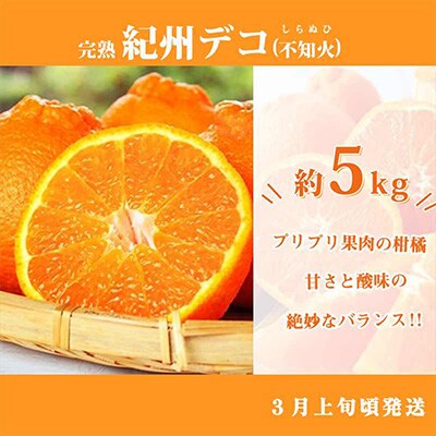 2023年3月発送開始『定期便』紀州和歌山産旬の柑橘セット(紀州デコ・なつみ・甘夏)全3回