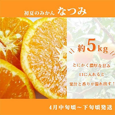 2023年3月発送開始『定期便』紀州和歌山産旬の柑橘セット(紀州デコ・なつみ・甘夏)全3回