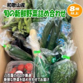 旬の新鮮野菜セット 8種以上【野菜詰め合わせ】