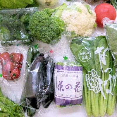 旬の新鮮野菜セット 8種以上【野菜詰め合わせ】