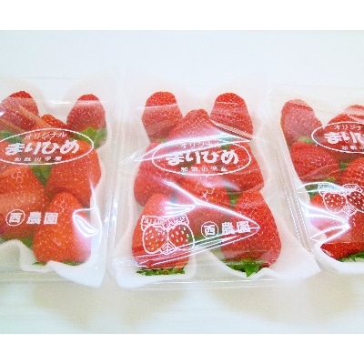 イチゴ【まりひめ】大粒3パック 和歌山生まれブランドいちご