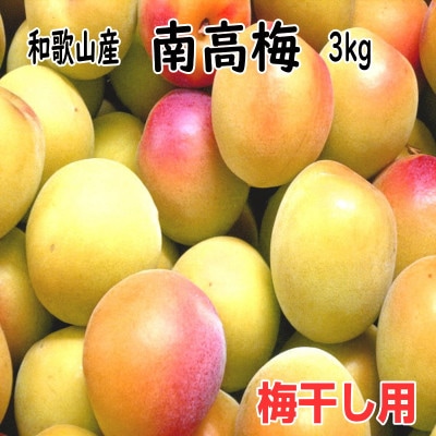 青梅(紀州南高梅) 3kg 【梅干し用】2L/3Lサイズ(簡単レシピ付き)
