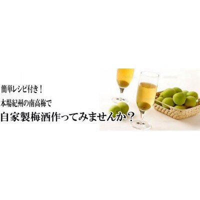 手作り梅酒セット(南高梅1kg・氷砂糖・ホワイトリカー)【6月上旬頃から順次発送予定】