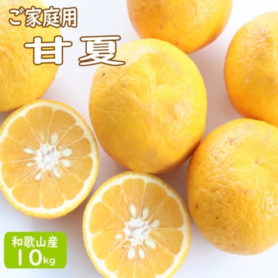 【ご家庭用】甘夏(あまなつ)約10kg 和歌山産