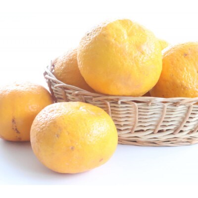 【ご家庭用】甘夏(あまなつ)約10kg 和歌山産