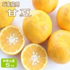 【ご家庭用】甘夏(あまなつ)約5kg 和歌山産