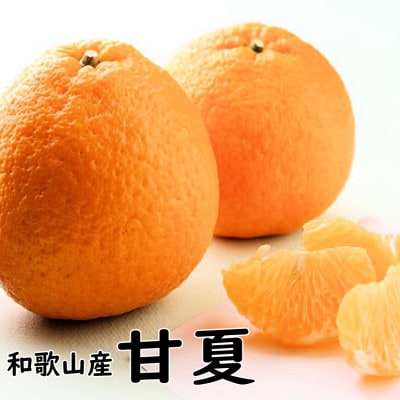 甘夏(あまなつ)約10kg 和歌山産