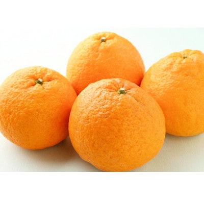 甘夏(あまなつ)約10kg 和歌山産