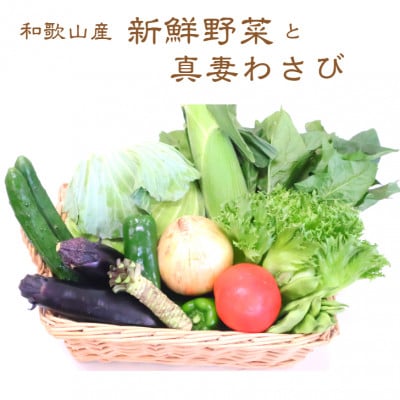 和歌山産 真妻わさびと旬の新鮮野菜セット10種程度