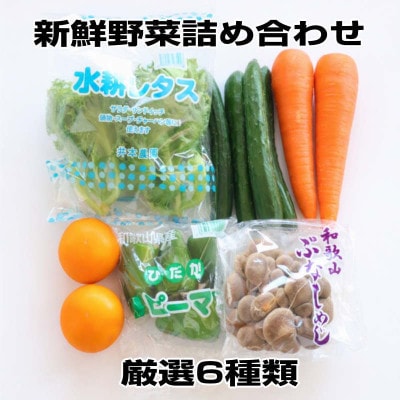 旬の新鮮野菜セット 6品目【野菜詰め合わせ】