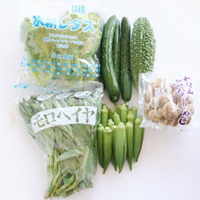 旬の新鮮野菜セット 6品目【野菜詰め合わせ】