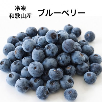 冷凍ブルーベリー 500g 和歌山産 新鮮そのまま冷凍に