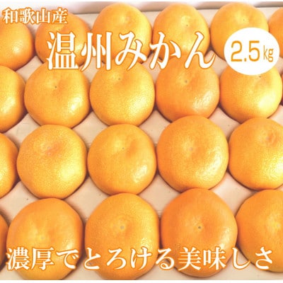 「濃厚な味のとろける美味しさ」温州みかん 2.5kg