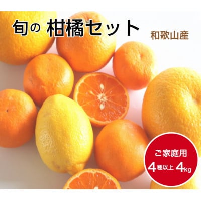 柑橘詰め合わせセット 家庭用4種以上 約4kg 和歌山産