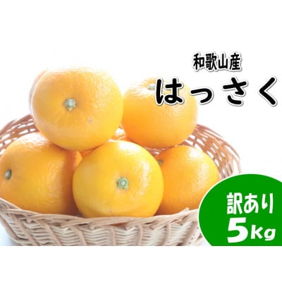 【訳あり・ご家庭用】はっさく(八朔)約5kg 和歌山産