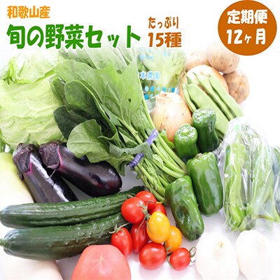 【毎月定期便】旬の新鮮野菜セット  15種以上(和歌山産)全12回