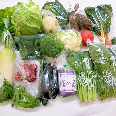 【毎月定期便】旬の新鮮野菜セット  15種以上(和歌山産)全12回