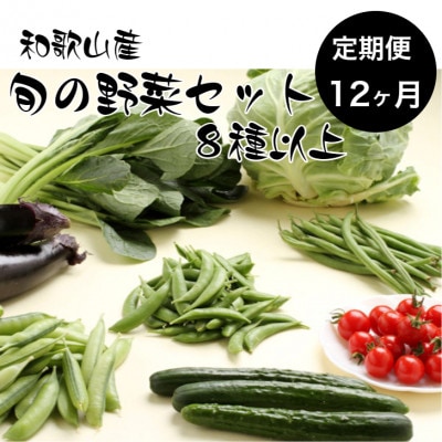 【毎月定期便】旬の新鮮野菜セット 8種以上(和歌山産)全12回