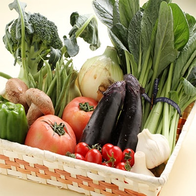 【毎月定期便】旬の新鮮野菜セット 8種以上(和歌山産)全12回