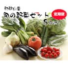 【発送月固定定期便】旬の新鮮野菜セット8種以上【野菜詰め合わせ】全5回