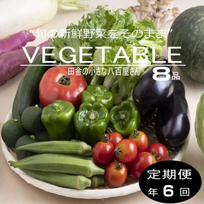 【発送月固定定期便】旬の新鮮野菜セット8種以上 奇数月発送【野菜詰め合わせ】全6回