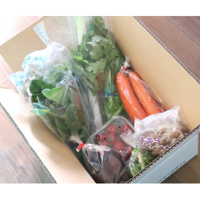 【発送月固定定期便】旬の新鮮野菜セット8種以上 奇数月発送【野菜詰め合わせ】全6回